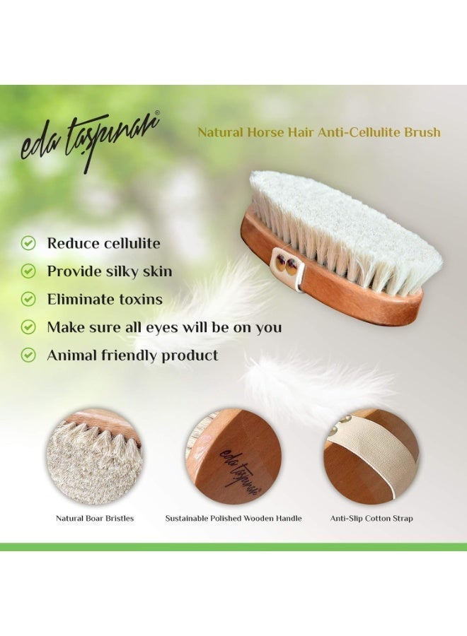 eda taspinar Anti-Cellulite Dry Brush Natural Horse Hairbrush, Removes Cellulite by 57% in 5 Weeks, Exfoliating Body Scrubber, Improves Lymphatic Function, Silky Skin, Animal Friendly - Image 4